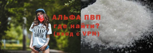 стаф Белокуриха