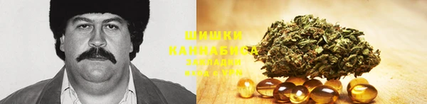стаф Белокуриха