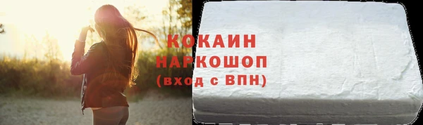 прущие грибы Елизово