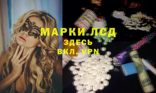 стаф Белокуриха