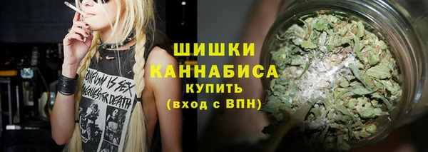 стаф Белокуриха